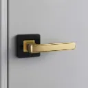 Paris Square Lever